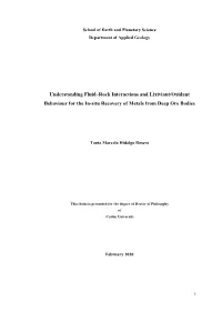Understanding Fluid–Rock Interactions and Lixiviant/Oxidant Behaviour for the In-Situ Recovery of Metals from Deep Ore Bodies
