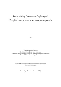 An Isotope Approach