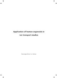 Application of Human Organoids in Ion Transport Studies