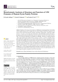 Bioinformatic Analysis of Structure and Function of LIM Domains of Human Zyxin Family Proteins