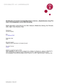 Identification of Common Horsetail (Equisetum Arvense L.; Equisetaceae) Using Thin Layer Chromatography Versus DNA Barcoding