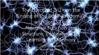 The Effects of P75 and Sorcs2 on Neuronal Function and Structure