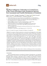 Mg-Rich Authigenic Carbonates in Coastal Facies of the Vtoroe Zasechnoe Lake (Southwest Siberia): First Assessment and Possible Mechanisms of Formation