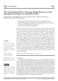 One Year Residual Effect of Sewage Sludge Biochar As a Soil Amendment for Maize in a Brazilian Oxisol