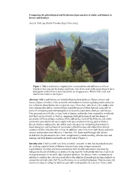 Comparing the Physiological and Biochemical Parameters of Mules and Hinnies to Horses and Donkeys