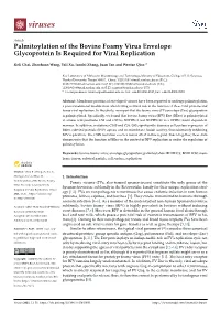 Palmitoylation of the Bovine Foamy Virus Envelope Glycoprotein Is Required for Viral Replication