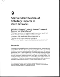 Spatial Identification of Tributary Impacts in River Networks