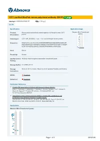 CST1 Purified Maxpab Mouse Polyclonal Antibody (B01P)