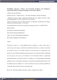 Establishing Laboratory Cultures and Performing Ecological and Evolutionary Experiments with the Emerging Model Species Chironomus Riparius