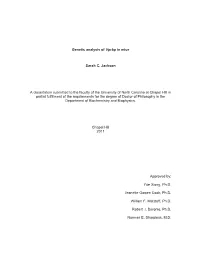 Genetic Analysis of Vprbp in Mice Sarah C. Jackson a Dissertation