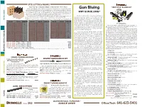 Gun Bluing Other Metal Objects