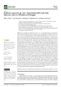 Raffaelea Quercina Sp. Nov. Associated with Cork Oak (Quercus Suber L.) Decline in Portugal