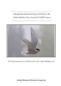Report on Monitoring of Shorebirds In