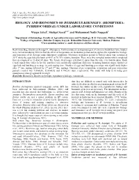 Papers\2166.Pdf