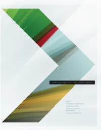 Steel Dynamics Inc. 2013 Annual Report | Igniting the Possibilities