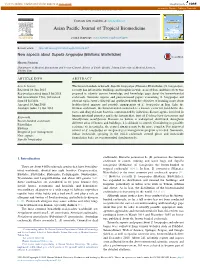 New Aspects About Supella Longipalpa (Blattaria: Blattellidae)