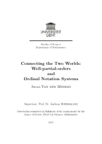 Well-Partial-Orders and Ordinal Notation Systems