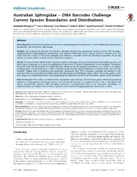 Australian Sphingidae – DNA Barcodes Challenge Current Species Boundaries and Distributions