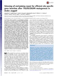 Silencing of End-Joining Repair for Efficient Site-Specific Gene Insertion After TALEN/CRISPR Mutagenesis in Aedes Aegypti