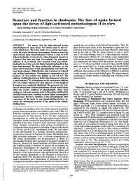 Structure and Function in Rhodopsin: the Fate of Opsin Formed Upon The