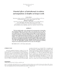 Potential Effects of Hydrothermal Circulation and Magmatism on Heatﬂow at Hotspot Swells