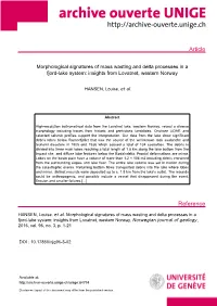 Article (Published Version)