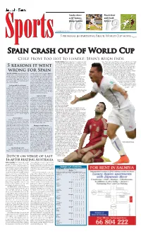 P20 Layout 1