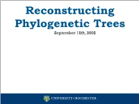 Reconstructing Phylogenetic Trees September 18Th, 2008 Systematic Methods 2 Through Time