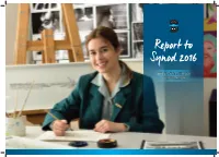 Report to Synod 2016