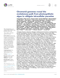 Chromerid Genomes Reveal the Evolutionary Path From