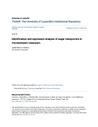 Identification and Expression Analysis of Sugar Transporters in Microbotryum Violaceum