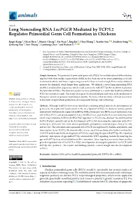 Long Noncoding RNA Lncpgcr Mediated by TCF7L2 Regulates Primordial Germ Cell Formation in Chickens