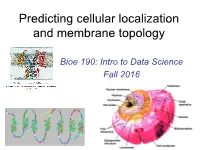 Predicting Cellular Localization and Membrane Topology