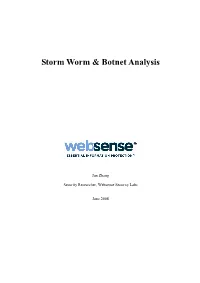 Storm Worm & Botnet Analysis