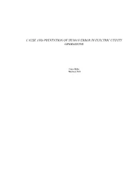 Cause and Prevention of Human Error in Electric Utility Operations