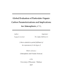 Global Evaluation of Particulate Organic Carbon Parameterizations and Implications