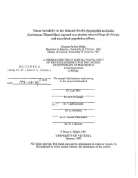 Tissue Variability in the Infaunal Bivalve Axinopsida Serricata