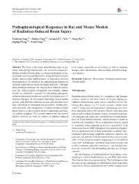 Pathophysiological Responses in Rat and Mouse Models of Radiation-Induced Brain Injury