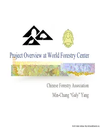 Project Overview at World Forestry Center
