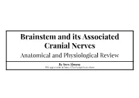Brainstem and Its Associated Cranial Nerves