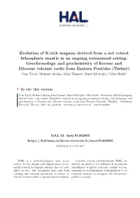 Evolution of K-Rich Magmas Derived from a Net Veined