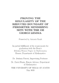 Proving the Regularity of the Reduced Boundary of Perimeter Minimizing Sets with the De Giorgi Lemma
