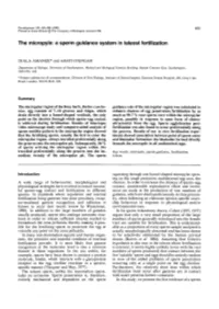 The Micropyle: a Sperm Guidance System in Teleost Fertilization