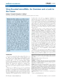 Virus-Encoded Micrornas: an Overview and a Look to the Future