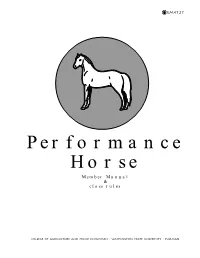 Performance Horse