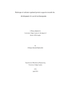 Redesign of Calcium-Regulated Protein Aequorin Towards the Development