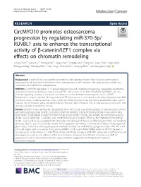 Circmyo10 Promotes Osteosarcoma Progression by Regulating Mir-370
