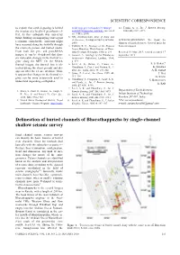 Delineation of Buried Channels of Bharathappuzha by Single-Channel Shallow Seismic Survey