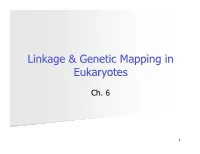 Linkage & Genetic Mapping in Eukaryotes