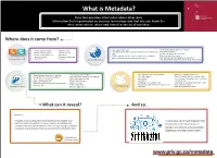 What Is Metadata?